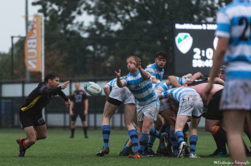 Rugby
