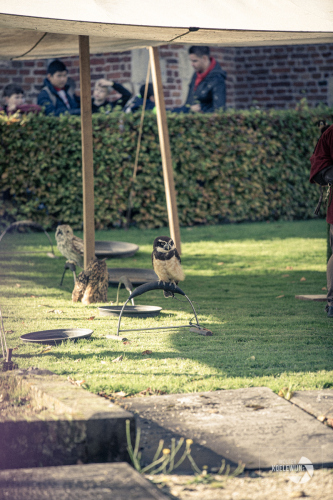 Koelewijnsfotografie-74-of-239